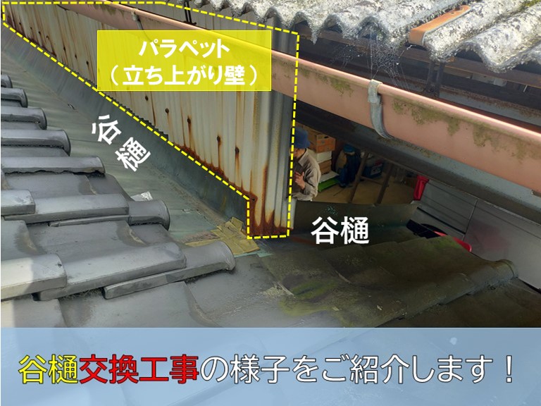 泉大津市　谷樋交換工事の様子をご紹介します。パラペット（立ち上がり壁）